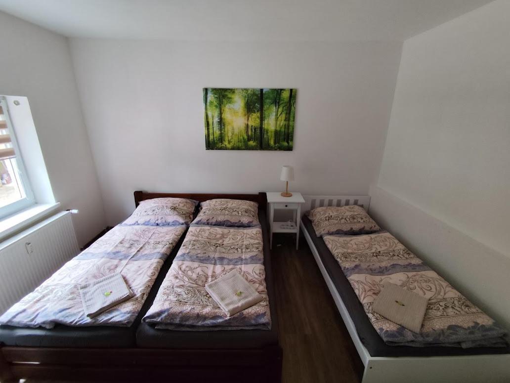 Apartman Terezka Jílové エクステリア 写真
