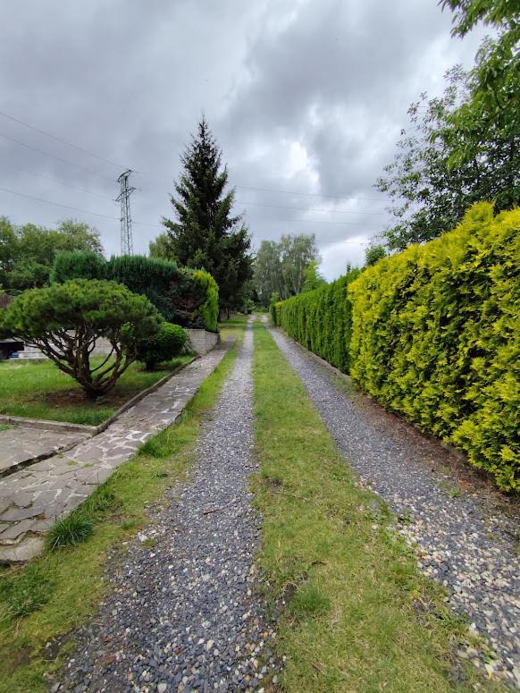 Apartman Terezka Jílové エクステリア 写真