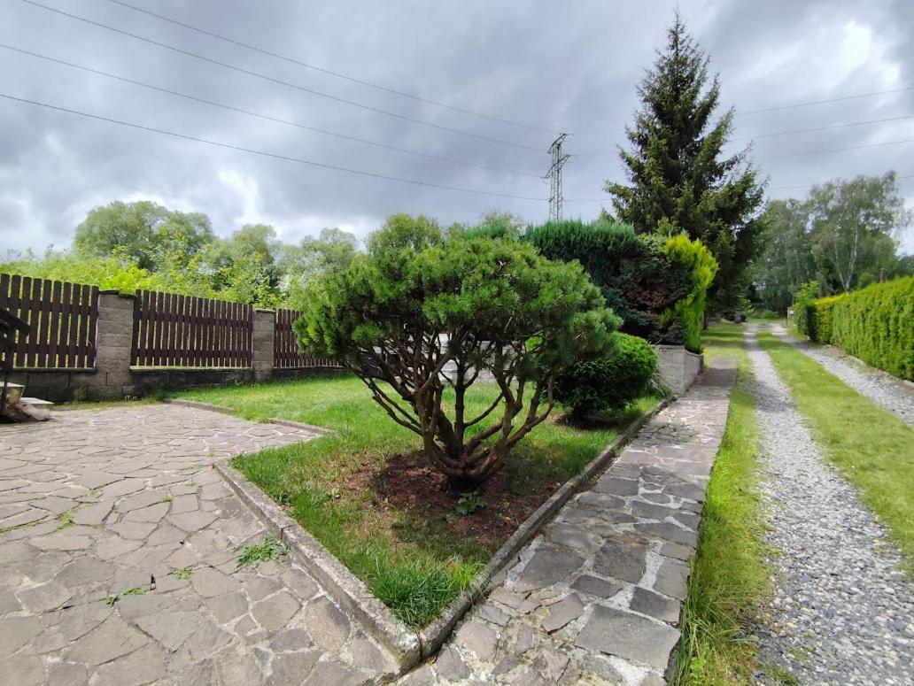 Apartman Terezka Jílové エクステリア 写真