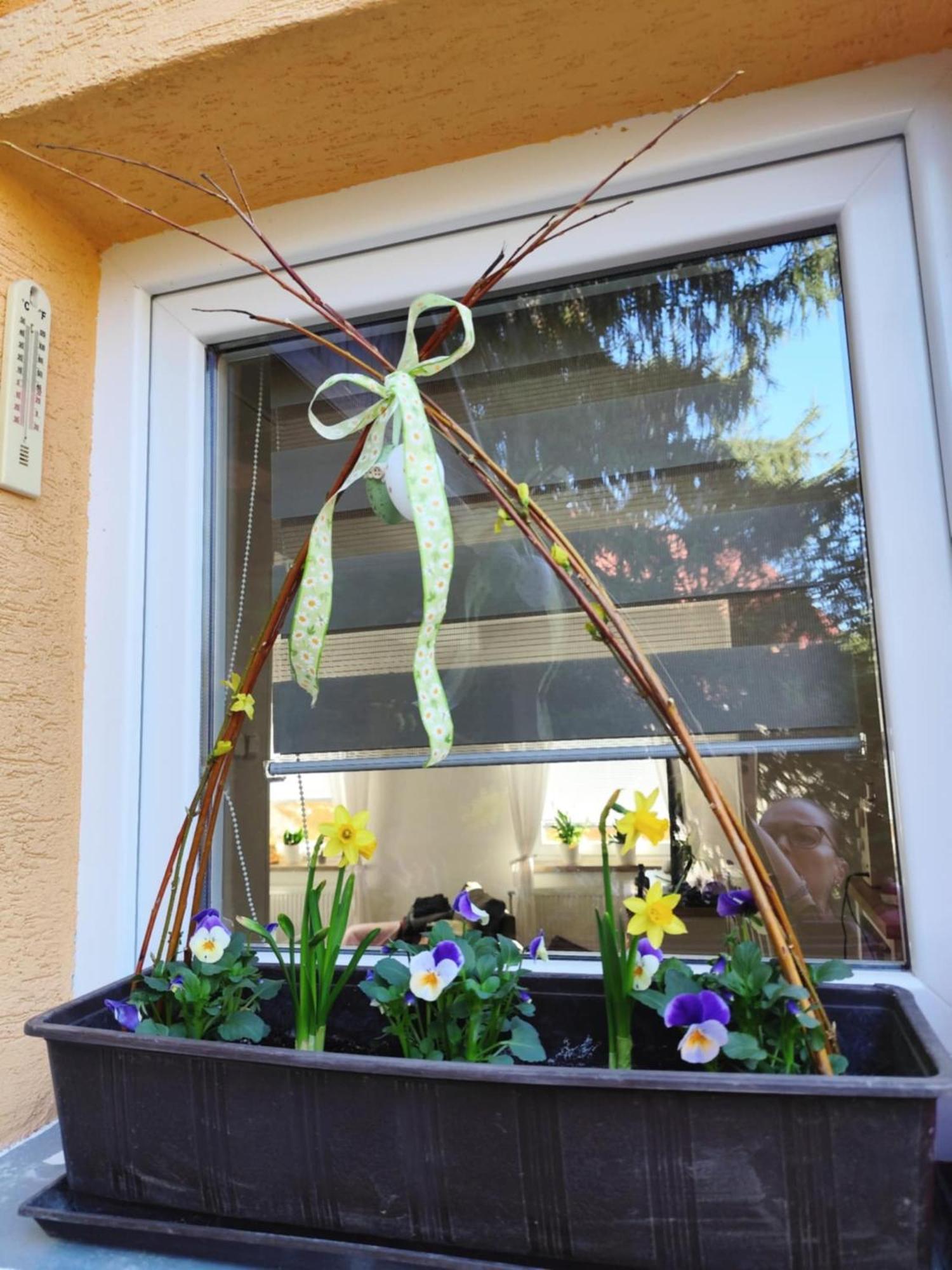 Apartman Terezka Jílové エクステリア 写真